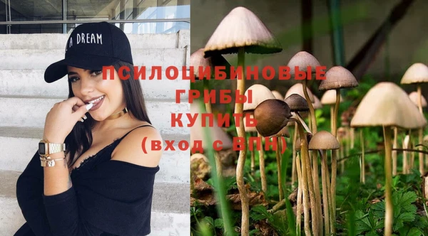 герыч Алзамай