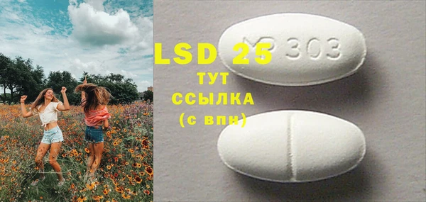 шишки Инта