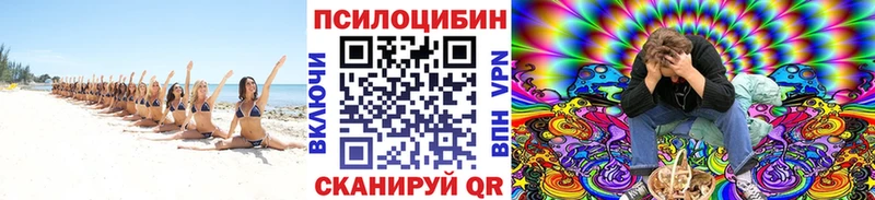Галлюциногенные грибы Psilocybe как найти наркотики Дрезна